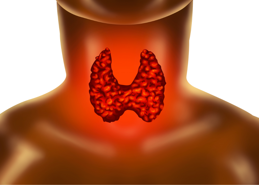 Thyroid & Parathyroid Surgery